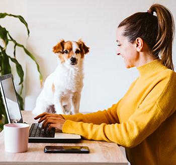劳动力发展中心 Class Catalog. Women on computer with her dog next to her.